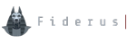 Fiderus - Cayman\'s IT and Cybersecurity Professionals