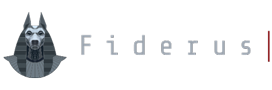 Fiderus - Cayman\'s IT and Cybersecurity Professionals
